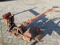 IMG_6206