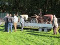 IMG_6256
