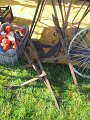 IMG_6267