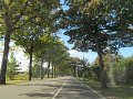 IMG_6285