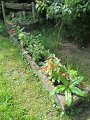 IMG_1757