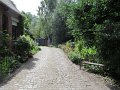 IMG_1760