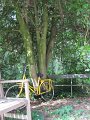 IMG_1761