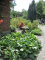 IMG_1767
