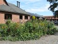 IMG_1768