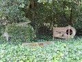 IMG_1769