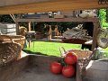 IMG_1789