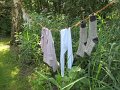 IMG_1810