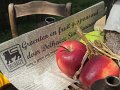 IMG_1858