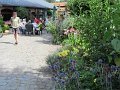 IMG_1864