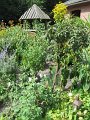 IMG_1867