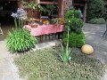IMG_1869