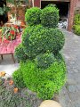 IMG_1870