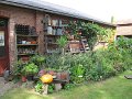 IMG_1894