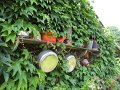 IMG_1940