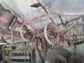 IMG_1950