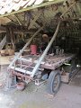 IMG_1953