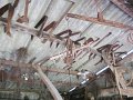 IMG_1956