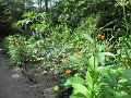 IMG_1973