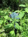 IMG_1995