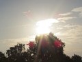 IMG_3658