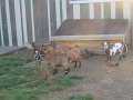 IMG_3671