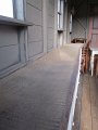 IMG_3743
