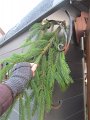 IMG_0834