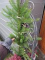 IMG_0836