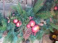 IMG_0842