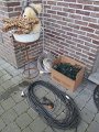 IMG_0853