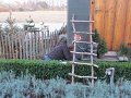 IMG_0855