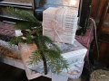 IMG_0909