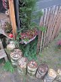 IMG_0963