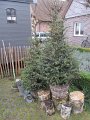 IMG_0975