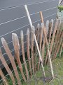 IMG_0977
