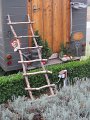 IMG_0979