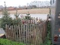 IMG_0985