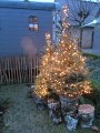 IMG_1020
