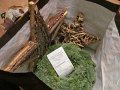 IMG_1554