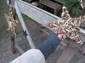 IMG_1563