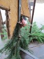 IMG_1576
