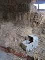 IMG_1632