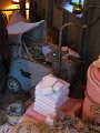 IMG_1653