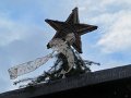 IMG_1718