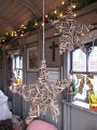 IMG_1740