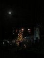 IMG_2256
