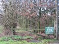 IMG_1992