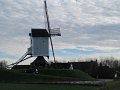 IMG_1995