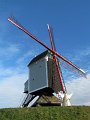 IMG_1998